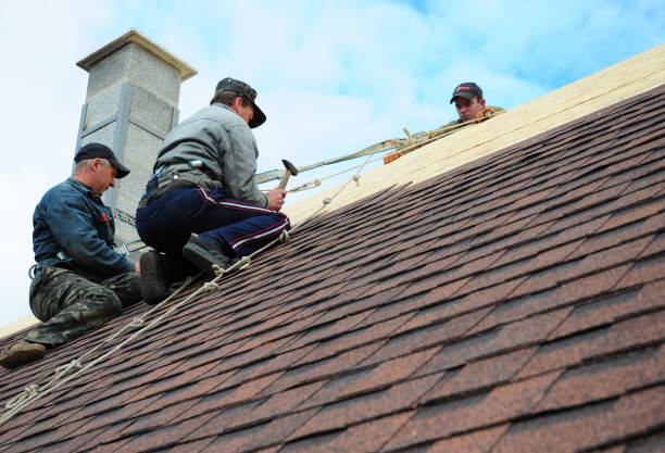 Best Roof Gutter Cleaning  in Merchantville, NJ
